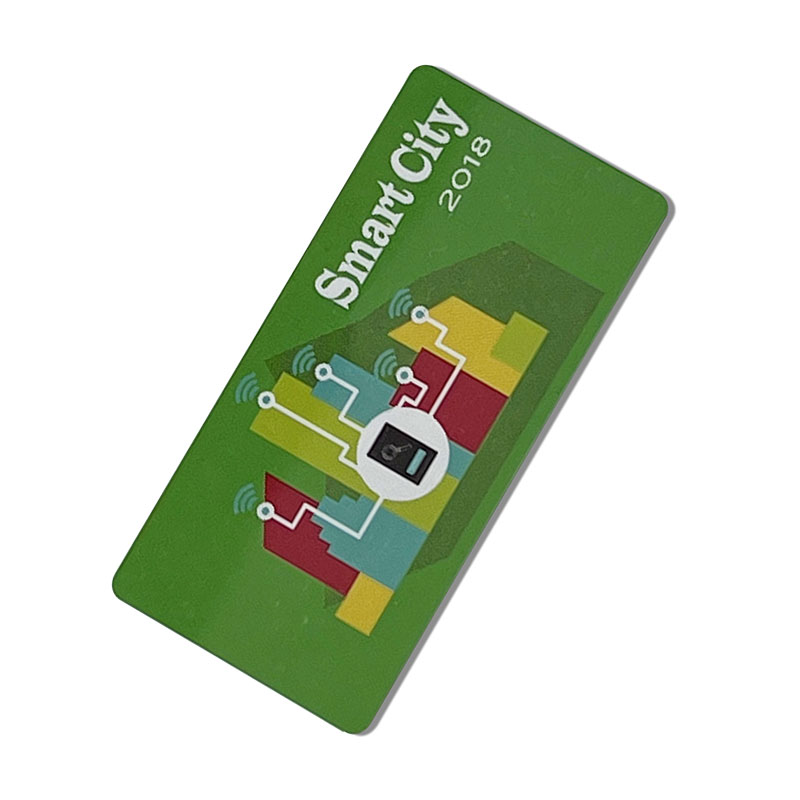 Carte d'anomalie en plastique PVC de taille anormale d'impression CMJN